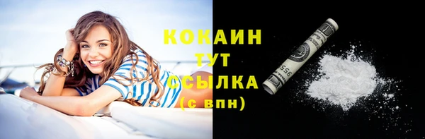 трава Арсеньев