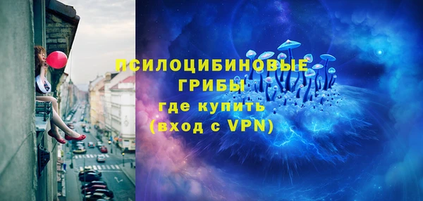 трава Арсеньев
